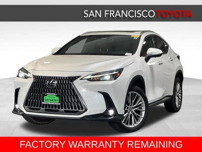 2025 Lexus NX 350 Premium