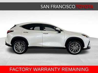 2025 Lexus NX 350 Premium
