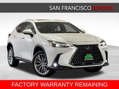 2025 Lexus NX 350 Premium
