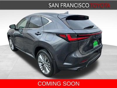 2025 Lexus NX 350h Luxury