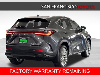 2025 Lexus NX 350h Luxury