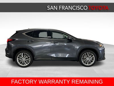 2025 Lexus NX 350h Luxury