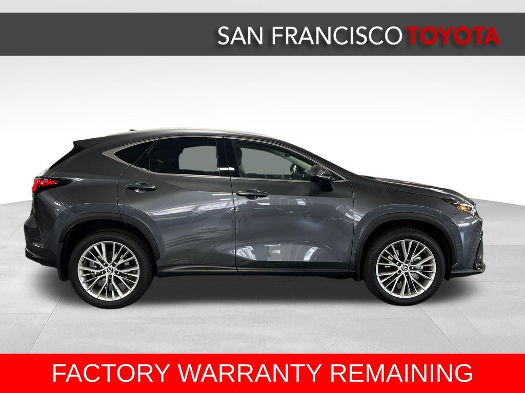 2025 Lexus NX 350h Luxury