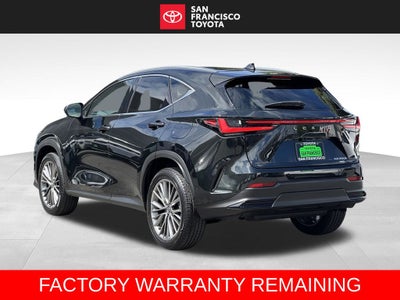 2025 Lexus NX 350h Luxury