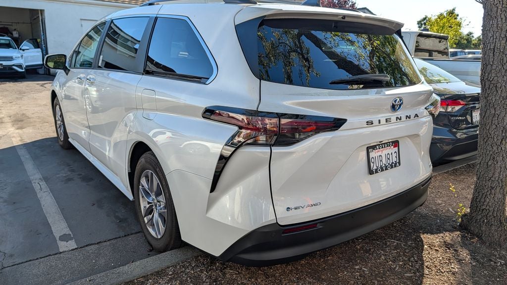 2025 Toyota Sienna XLE 7 Passenger
