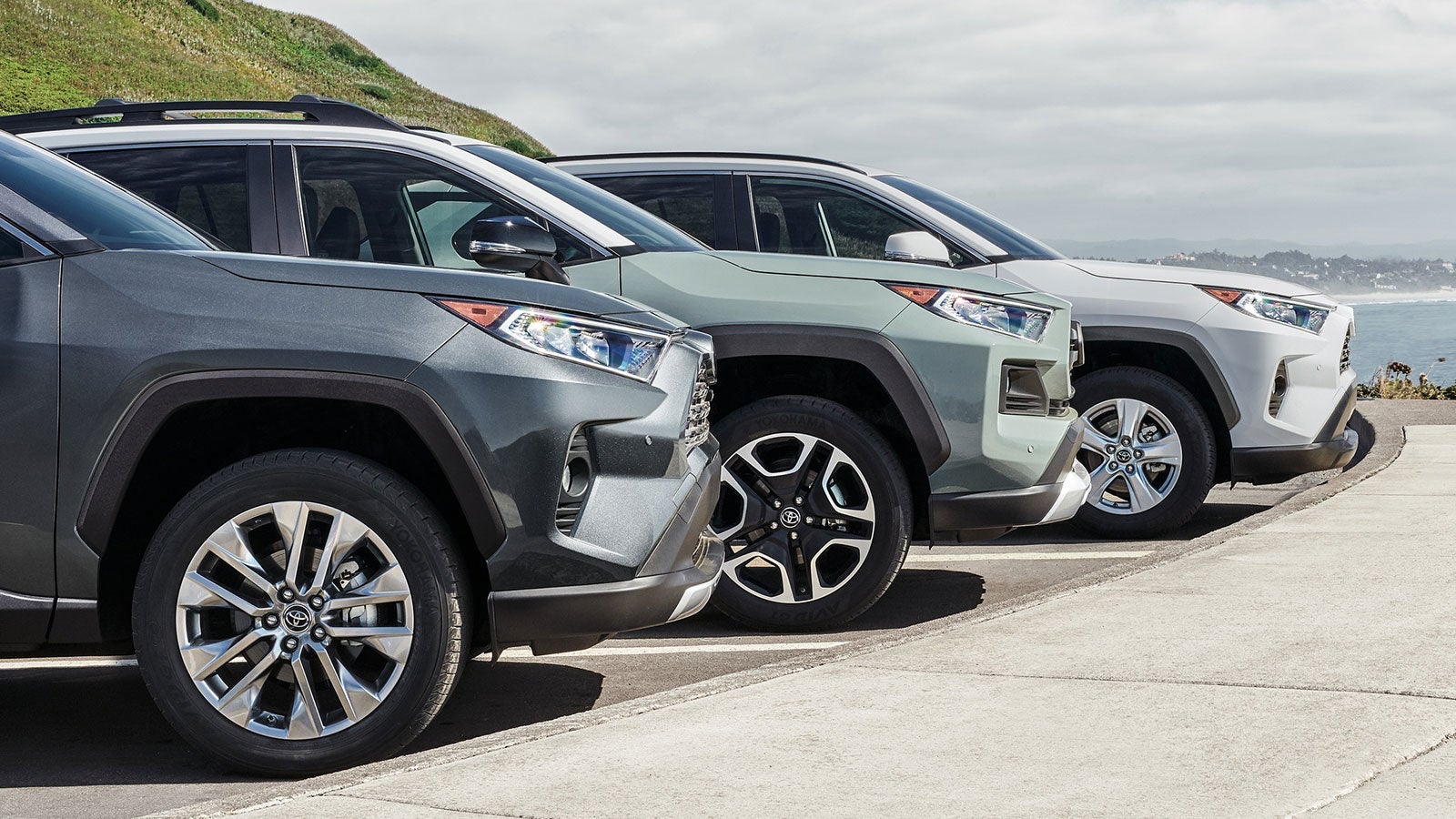 Check Out These Used Specials!