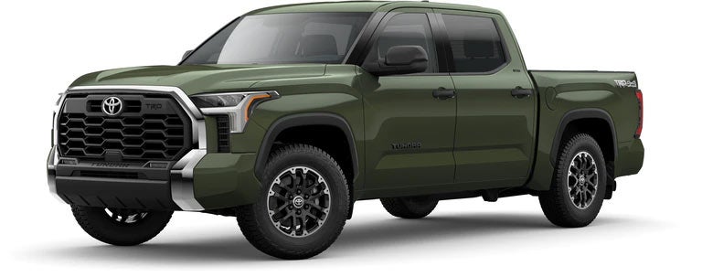 2022 Toyota Tundra SR5 in Army Green | Novato Toyota in Novato CA
