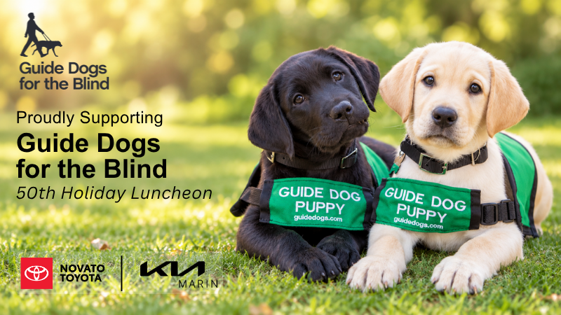 Novato Toyota Proudly Supports Guide Dogs for the Blind’s 50th Holiday Luncheon